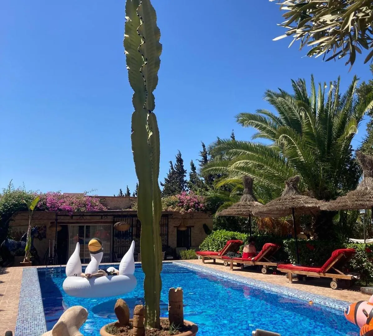 Magnifique Villa Et Parenthese Enchantee A Essaouira Morocco